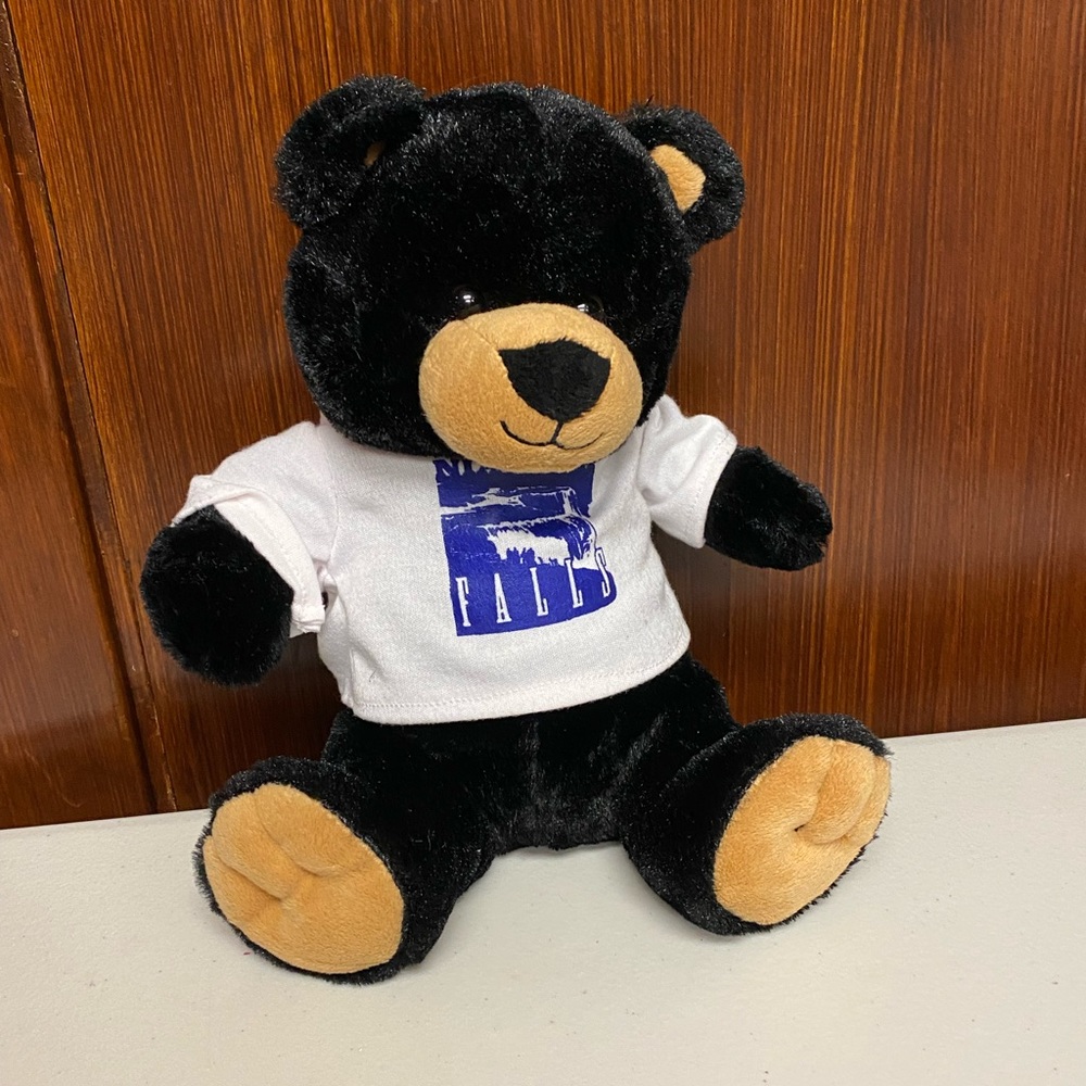 Niagara Fall hoodie black bear plush toy